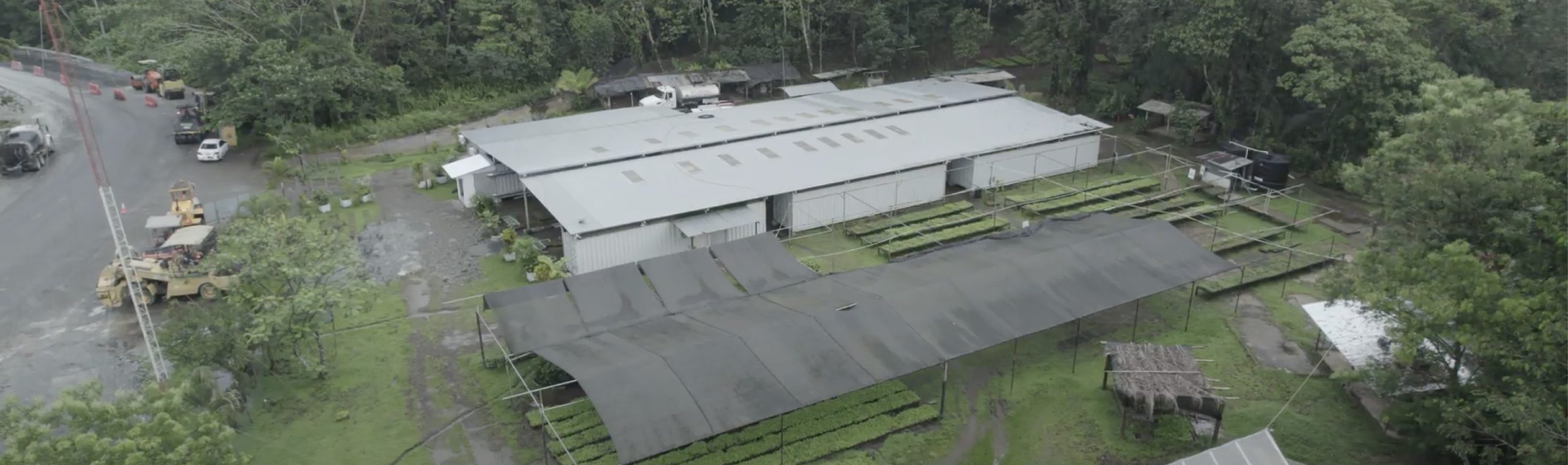Cobre Panamá no está deforestando nuestro país. Cuida nuestra tierra