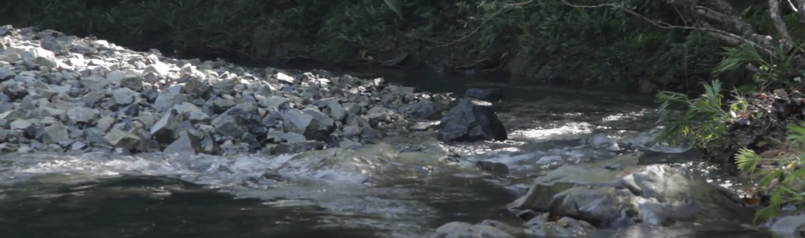 No estamos quitando agua al Canal de Panamá