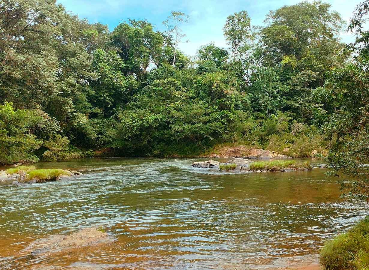 Para poder mantener la  estabilidad ambiental del sitio, cobre Panamá solicita reabrir los accesos a la mina que en estos momentos se mantienen cerrados ilegalmente