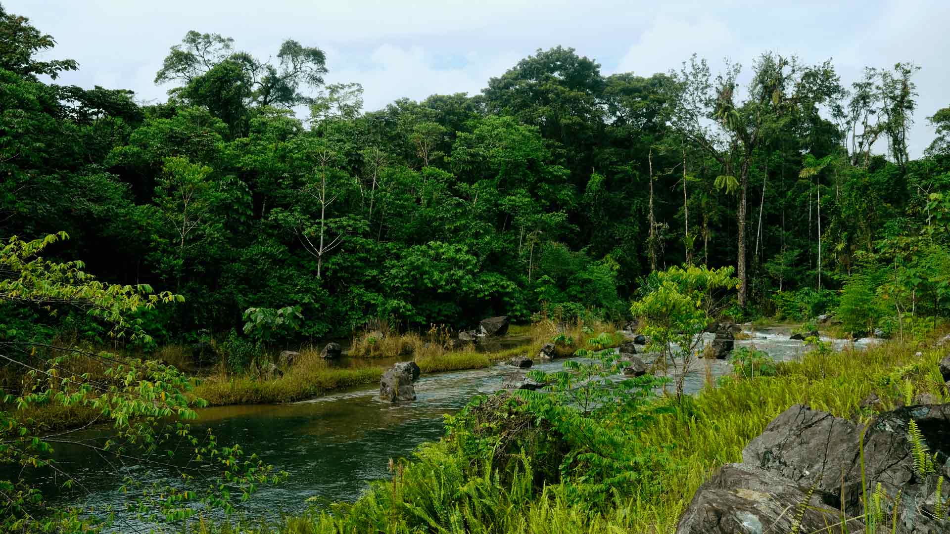 COBRE PANAMÁ ABRE LAS PUERTAS DE LA MINA  A LA SOCIEDAD PANAMEÑA